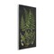 Stupell Industries Scientific Botanical Fern Drawing Wall Plaque Art